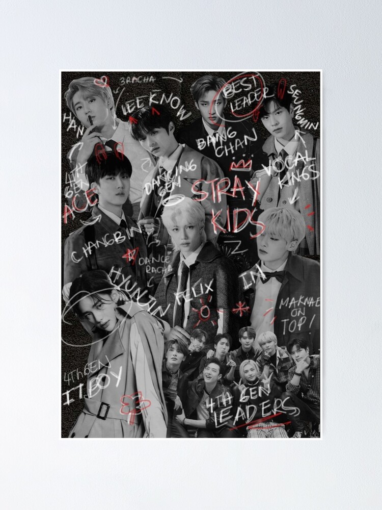 Stray Kids black and white maniac poster SKZ SKZoo you make stray