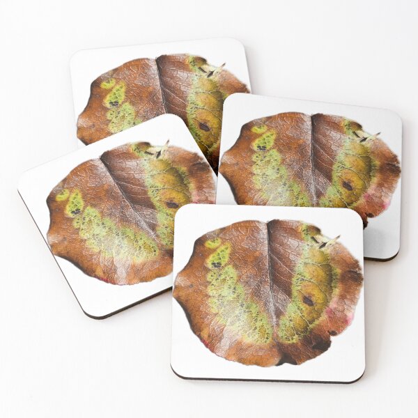 Item preview, Tulip Poplar Leaf designed and sold by LoveGraceValor.