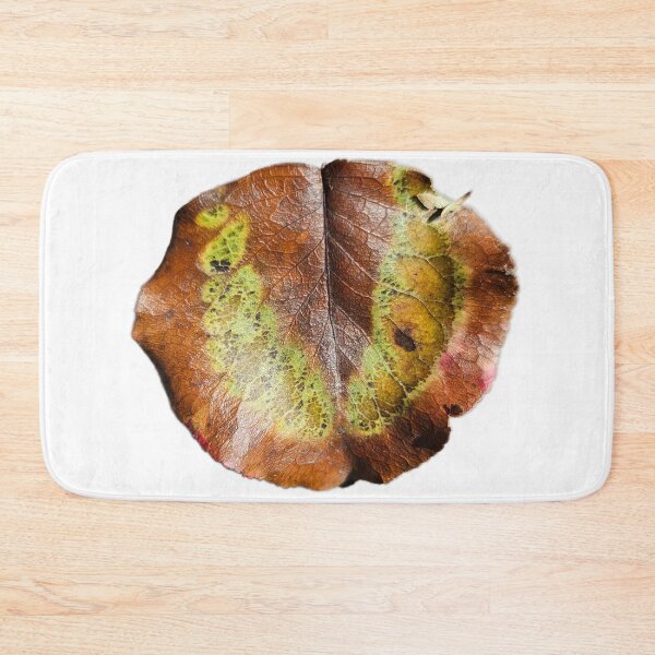 Item preview, Tulip Poplar Leaf designed and sold by LoveGraceValor.