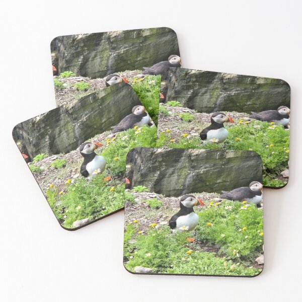 Item preview, Puffins' island Paradise, Ireland designed and sold by FranWest.
