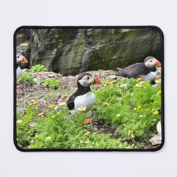 Item preview, Puffins' island Paradise, Ireland designed and sold by FranWest.