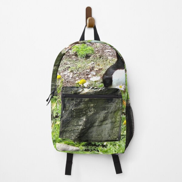 Item preview, Puffins' island Paradise, Ireland designed and sold by FranWest.