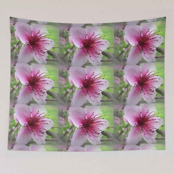 Item preview, The Beauty of One Flower (Nectarine Blossom) designed and sold by EdsMum.