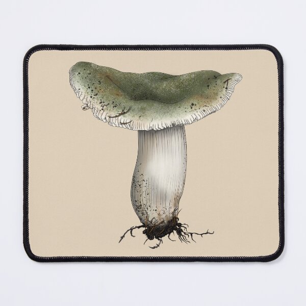 Item preview, Greencracked Brittlegill Mushroom - Russula virescens designed and sold by TasiaZenzura.