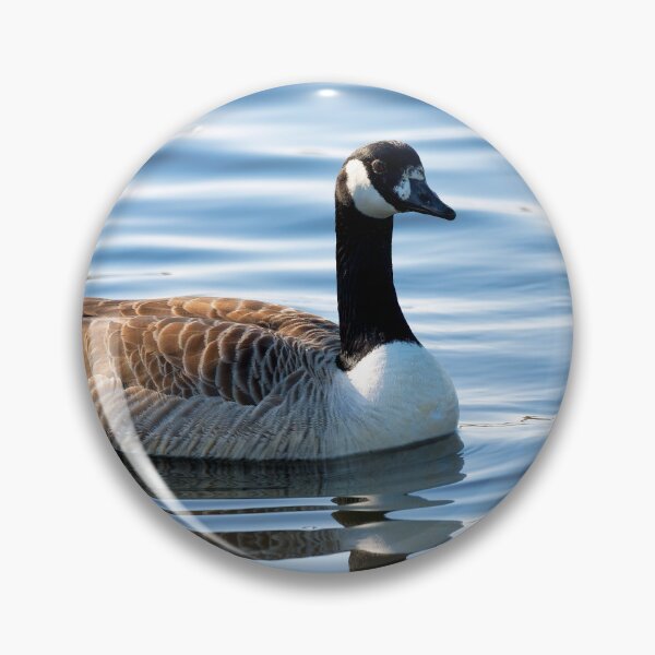 Item preview,   Branta canadensis  designed and sold by Dorset Girl.