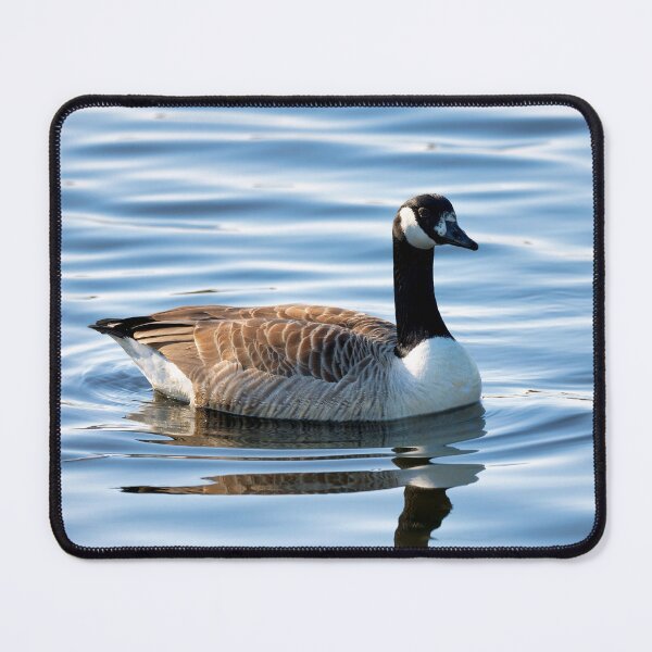 Item preview,   Branta canadensis  designed and sold by Dorset Girl.