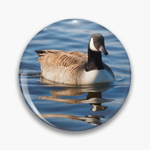 Item preview, Canadian Geese  Branta canadensis designed and sold by Dorset Girl.