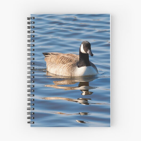 Item preview, Canadian Geese  Branta canadensis designed and sold by Dorset Girl.
