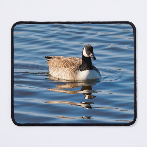 Item preview, Canadian Geese Branta canadensis designed and sold by Dorset Girl.