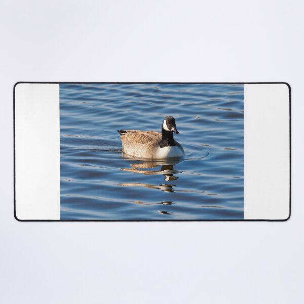 Item preview, Canadian Geese  Branta canadensis designed and sold by Dorset Girl.