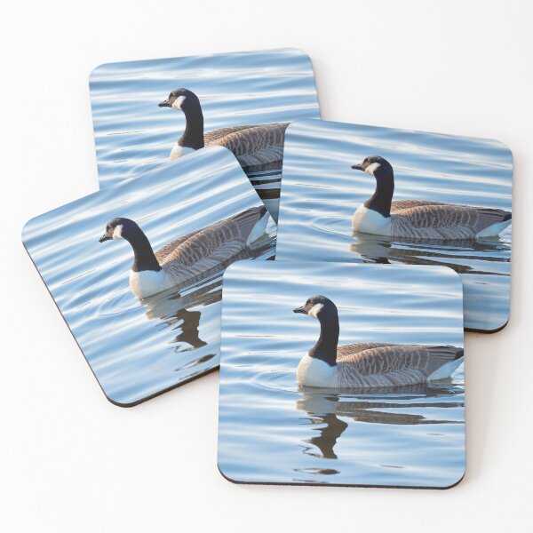 Item preview, Canadian Geese  Branta canadensis designed and sold by Dorset Girl.