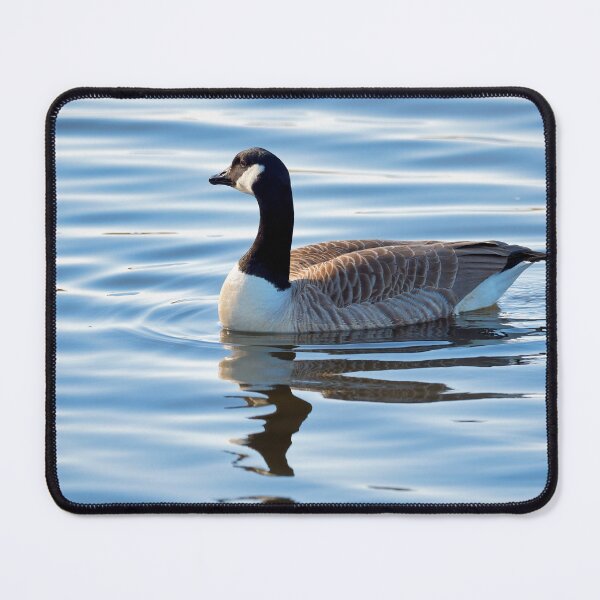 Item preview, Canadian Geese  Branta canadensis designed and sold by Dorset Girl.