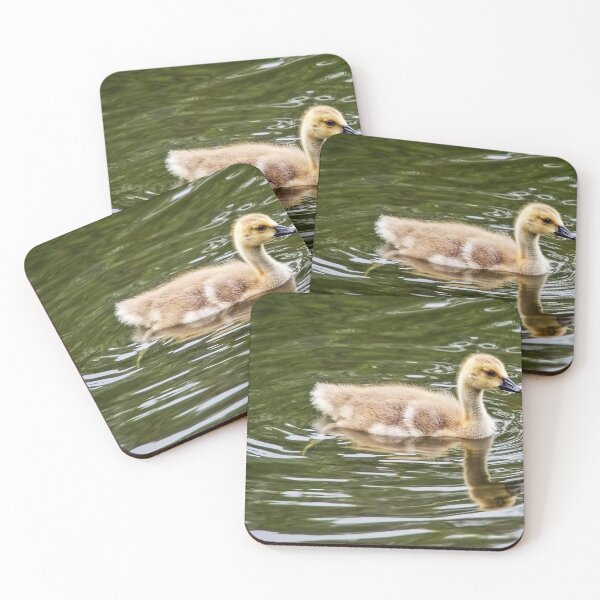 Item preview, Canadiab Geese Gosling designed and sold by Dorset Girl.