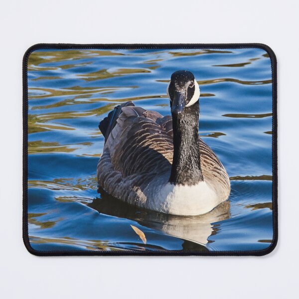 Item preview, Canadian Geese Branta canadensis designed and sold by Dorset Girl.