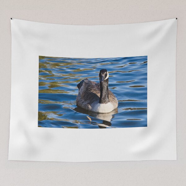 Item preview, Canadian Geese  Branta canadensis designed and sold by Dorset Girl.
