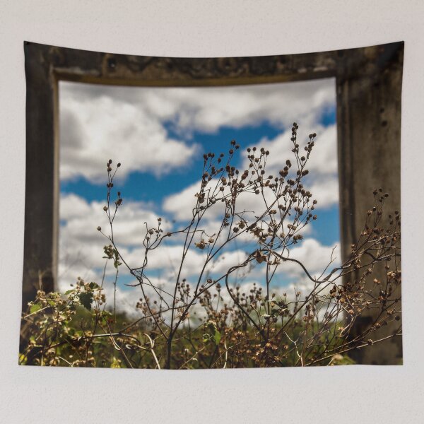Item preview, abandoned house with plants and sky with clouds 2 designed and sold by felipequeiroz.