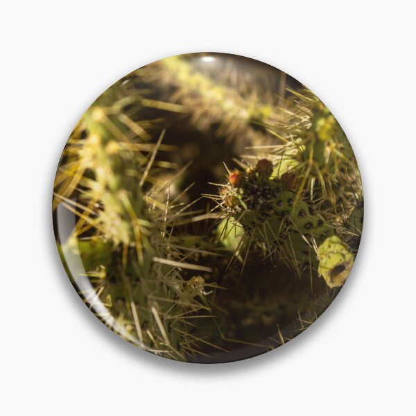 Item preview, texture of many palmatory plants from northeastern Brazil designed and sold by felipequeiroz.