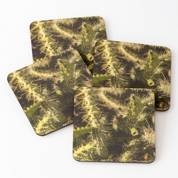 Item preview, texture of many palmatory plants from northeastern Brazil designed and sold by felipequeiroz.