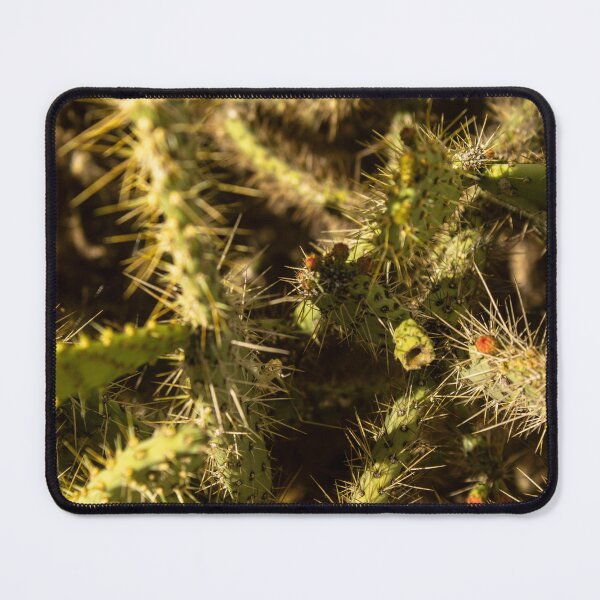 Item preview, texture of many palmatory plants from northeastern Brazil designed and sold by felipequeiroz.