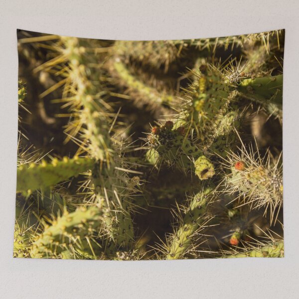 Item preview, texture of many palmatory plants from northeastern Brazil designed and sold by felipequeiroz.