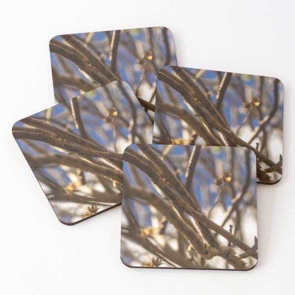 Item preview, Branches of a dry tree in fine art 2 designed and sold by felipequeiroz.