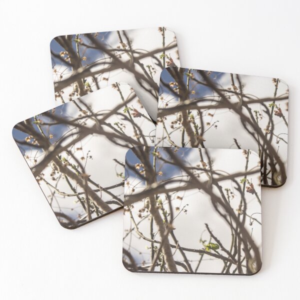 Item preview, Branches of a dry tree in fine art 3  designed and sold by felipequeiroz.