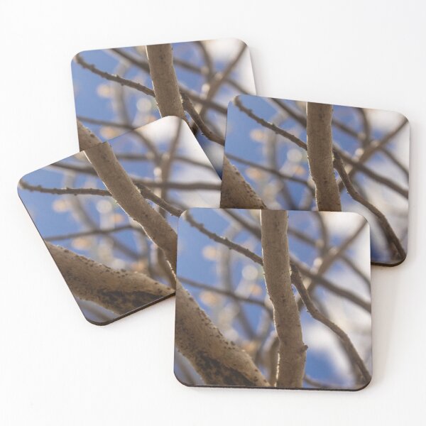Item preview, Branches of a dry tree in fine art 5 designed and sold by felipequeiroz.