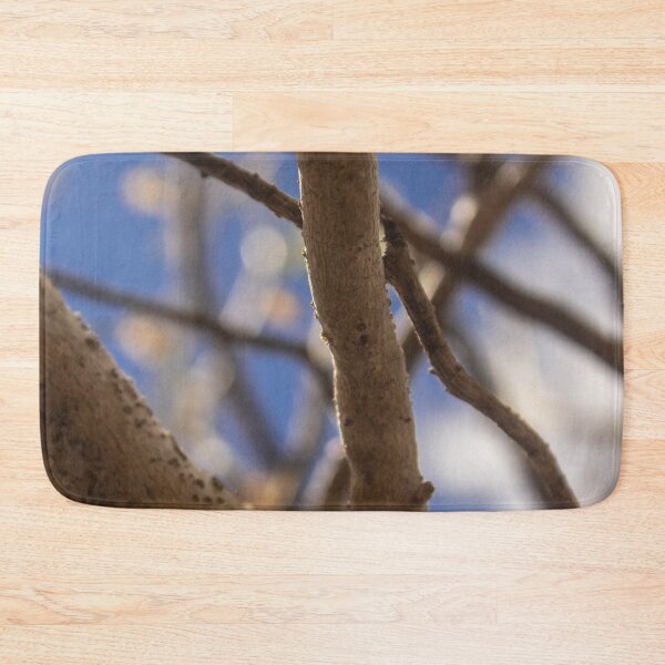 Item preview, Branches of a dry tree in fine art 5 designed and sold by felipequeiroz.