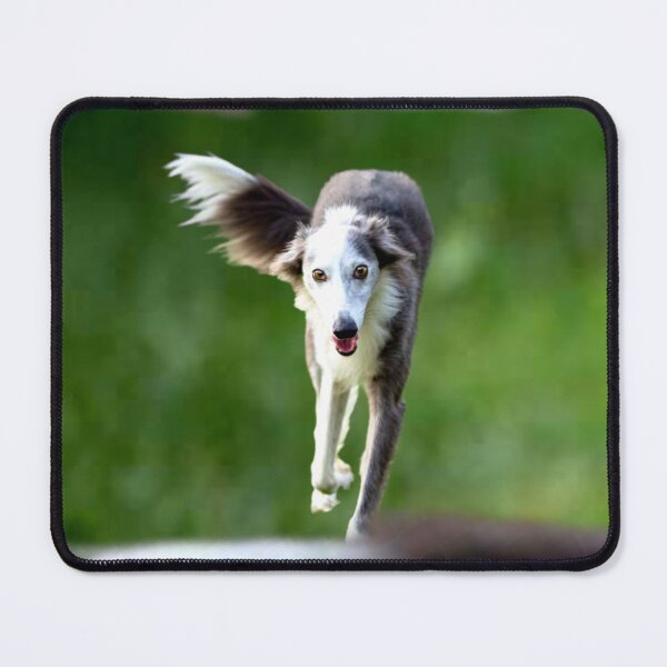 Item preview, Silken Windhound designed and sold by ontological.