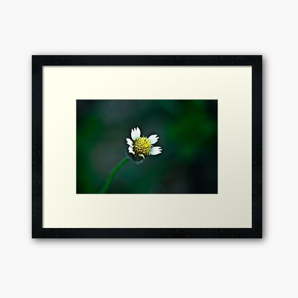 He is happiest who hath power to gather wisdom from a flower Framed Art Print