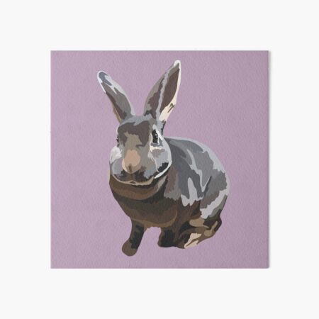 Artikel-Vorschau von C steht für Custom Rabbit, designt und verkauft von PrettylittlepastelUk.