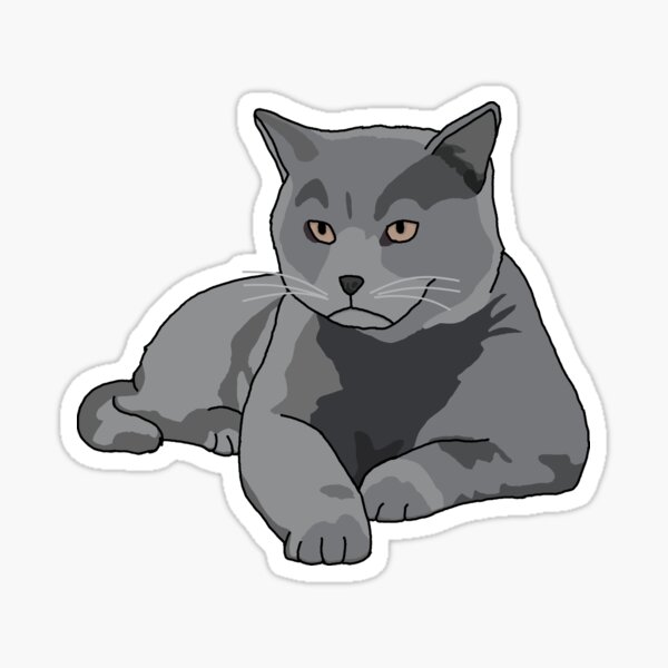 British Shorthair Stickers | Redbubble