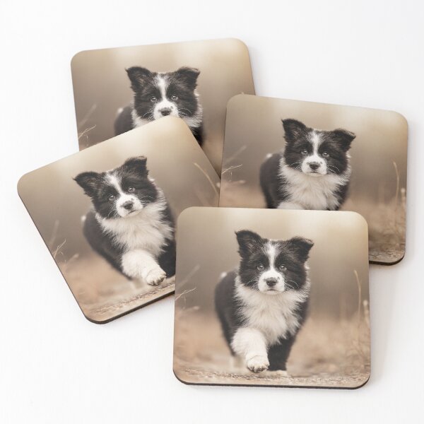 Aperçu de l'œuvre Chiot Border Collie en promenade créée et vendue par Alatia.