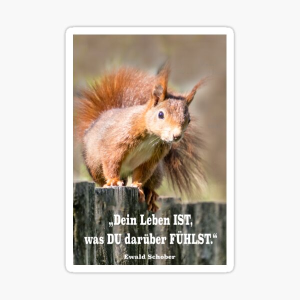Live mindfully – squirrel with quote about feelings Sticker