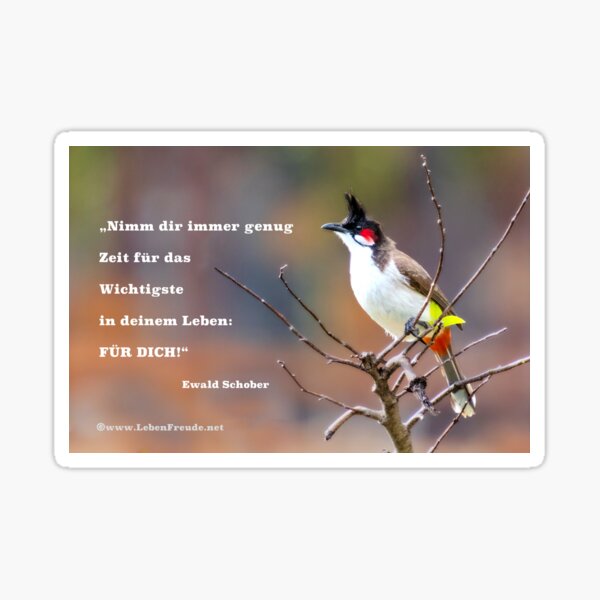 Item preview, Exotic bird & mindfulness quote – Time for yourself, the most important thing in life designed and sold by Katja LebenFreude.