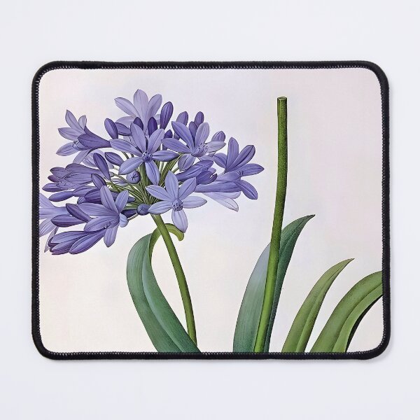 Item preview, Pierre Joseph Redoute - Agapanthus Flower designed and sold by Jon-Baran.