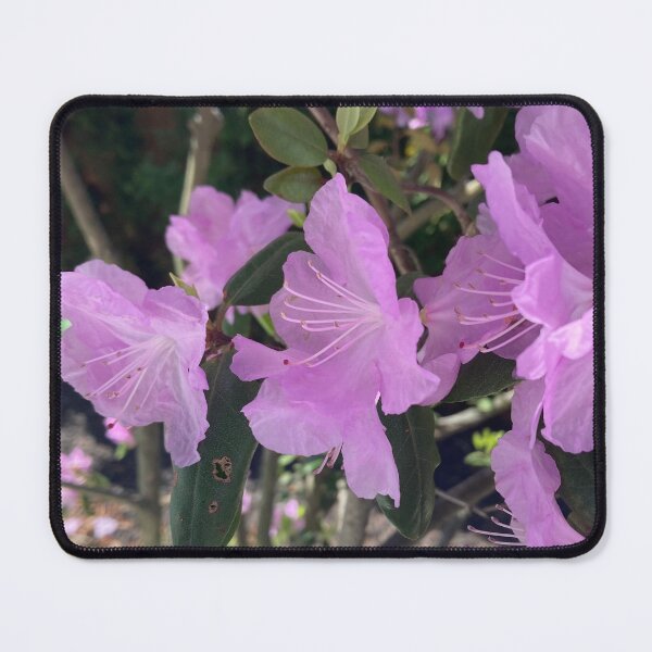 Item preview, Bursting Beauty designed and sold by Jeanne Henner.