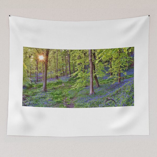 Item preview, Graig Fawr Woods, Margam designed and sold by Photos of Wales.