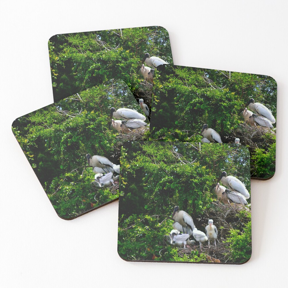 Item preview, Coasters (Set of 4) designed and sold by MercerImages.