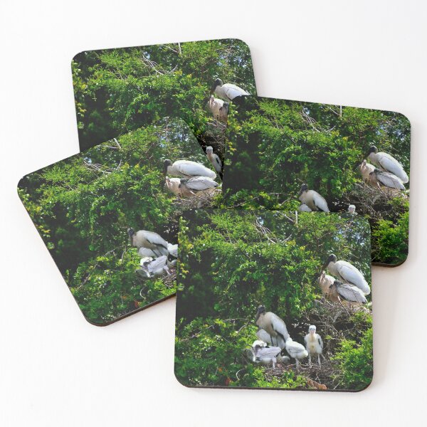 Item preview, Wood Stork Rookery  designed and sold by MercerImages.
