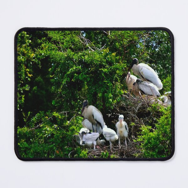 Item preview, Wood Stork Rookery designed and sold by MercerImages.