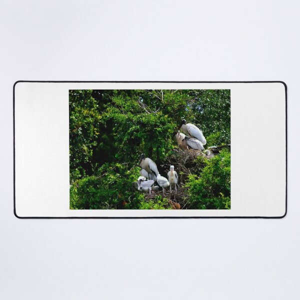 Item preview, Wood Stork Rookery designed and sold by MercerImages.