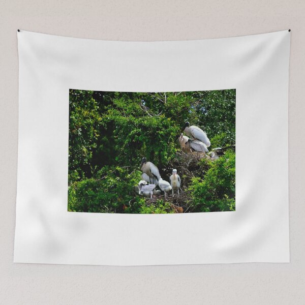 Item preview, Wood Stork Rookery  designed and sold by MercerImages.