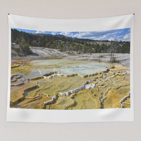 Item preview, Lower Minerva Terrace, Yellowstone National Park, Wyoming designed and sold by Catherine Sherman.