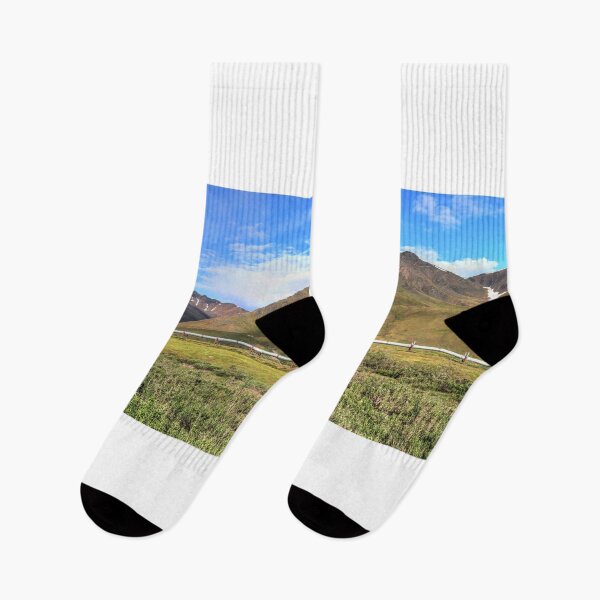 Item preview, Trans-Alaska Pipeline (TAPS) designed and sold by zumi.