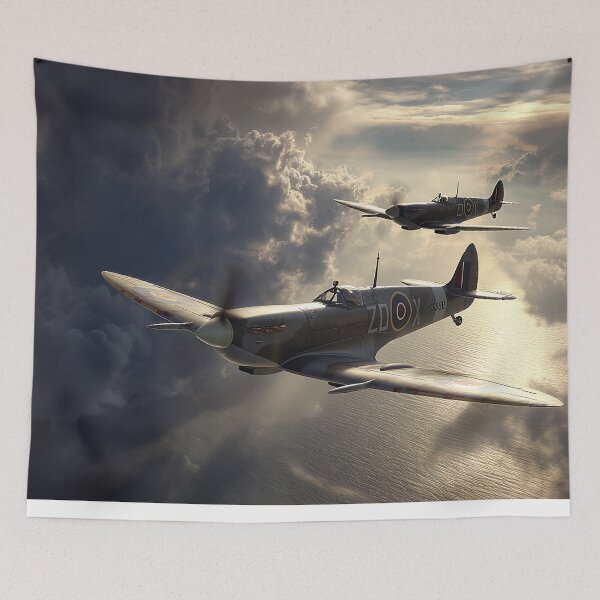 Item preview, Border Control Spitfires designed and sold by Skyframe Aviation.