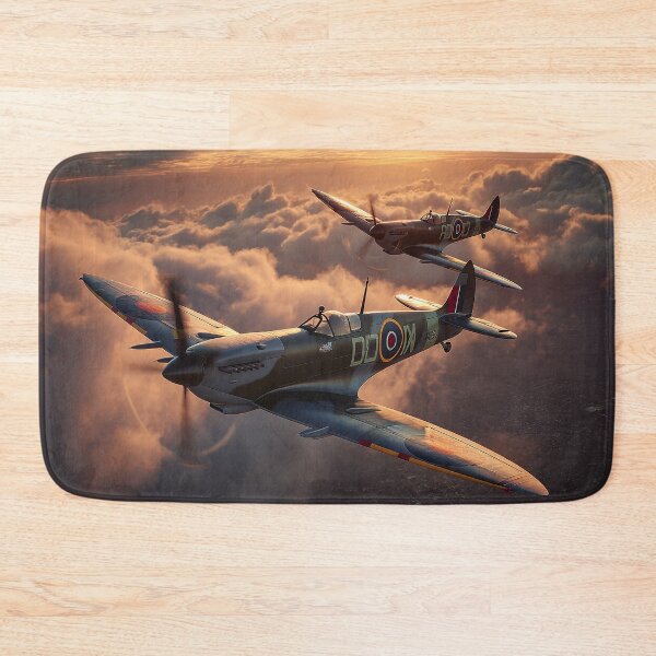 Item preview, Controlling Our Borders Spitfires designed and sold by Skyframe Aviation.