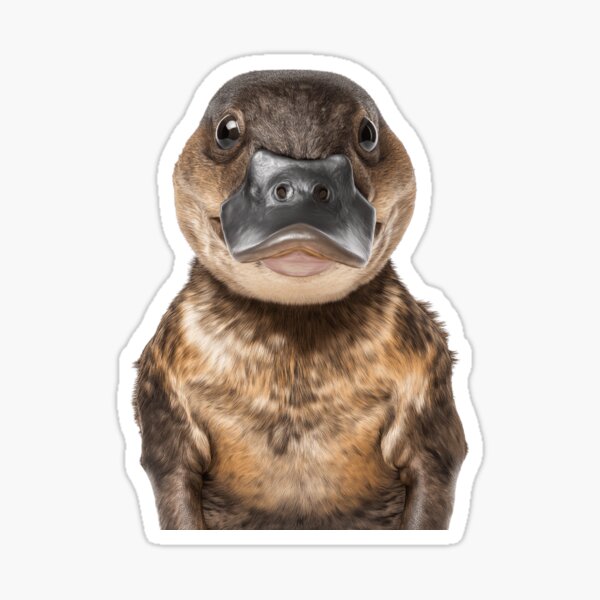 Item preview, Adorable Baby Platypus for Cute Platypus lovers designed and sold by LazyOwlStore.