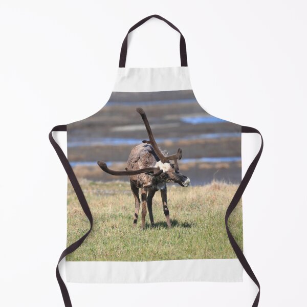 Item preview, Reindeer in Deadhorse camp designed and sold by zumi.