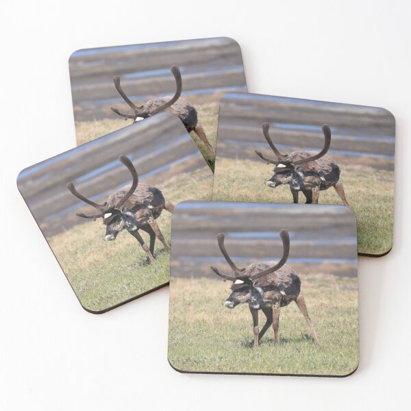 Item preview, Reindeer in Deadhorse camp II designed and sold by zumi.
